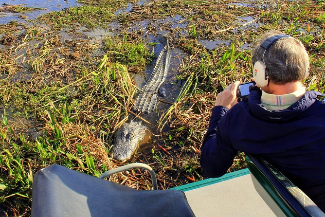 Florida Everglades Airboat Tour and Wild Florida Admission with Optional Lunch - From Orlando to the Central Florida Everglades