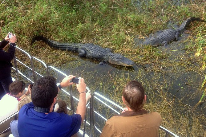 Florida Everglades Airboat Tour and Wild Florida Admission with Optional Lunch - Why the guides matter