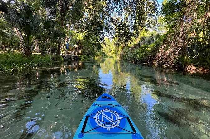 Florida paddle excursions - The current-assisted ride back to Baptist Camp Road