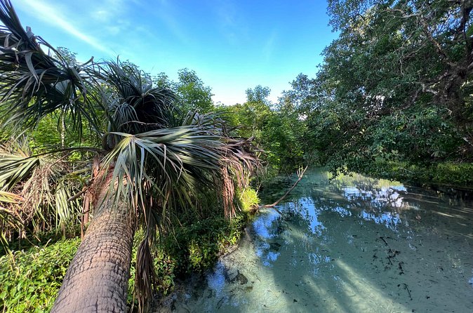 Florida paddle excursions - What the $60 price really covers