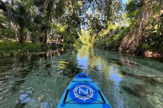 Florida paddle excursions - Practical details that affect your day
