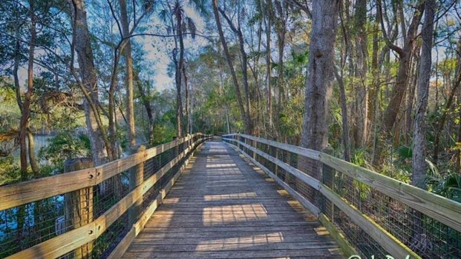 From Orlando: Manatee Snorkel Tour with Lunch & Hotel Pickup - Homosassa Wildlife Park adds a second kind of Florida