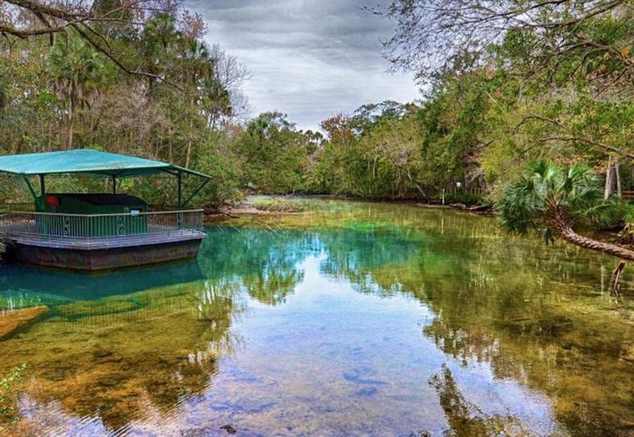 From Orlando: Manatee Snorkel Tour with Lunch & Hotel Pickup - Who will enjoy this most
