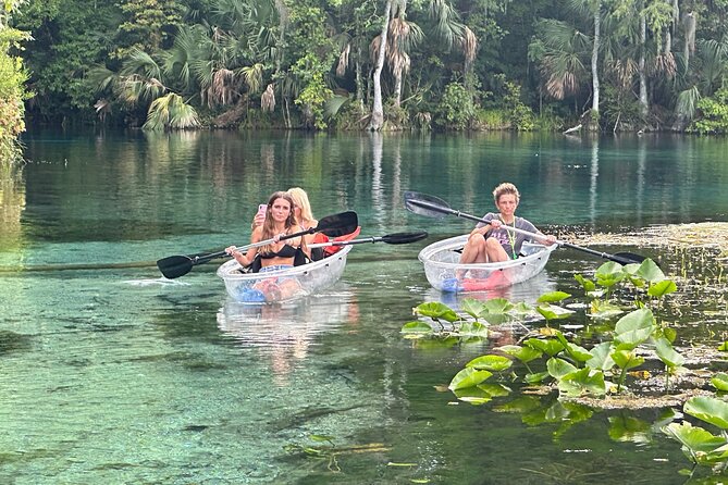 Gator Viewing Clear Kayak Springs Tour - Key points at a glance