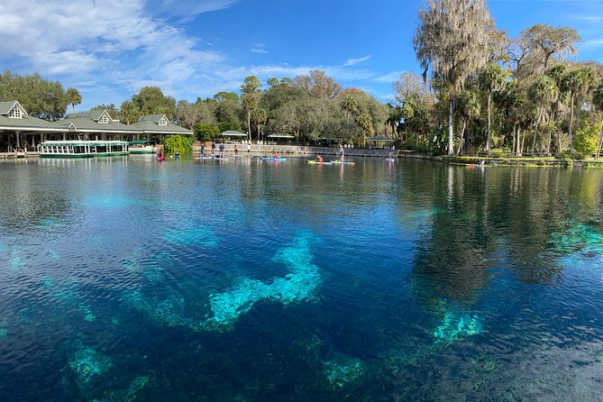 Gator Viewing Clear Kayak Springs Tour - What the two-hour route feels like