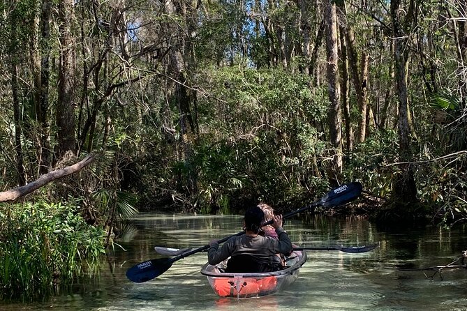 Glass Bottom Kayak Eco Tour through Rainbow Springs - Key points to know before you paddle