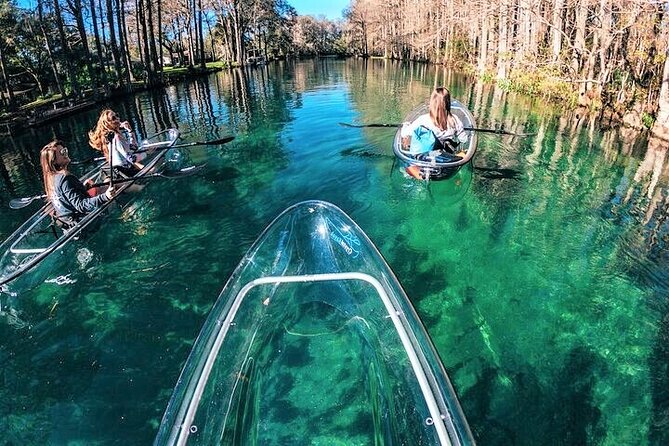 Glass Bottom Kayak Eco Tour through Rainbow Springs - Wildlife without a zoo fence