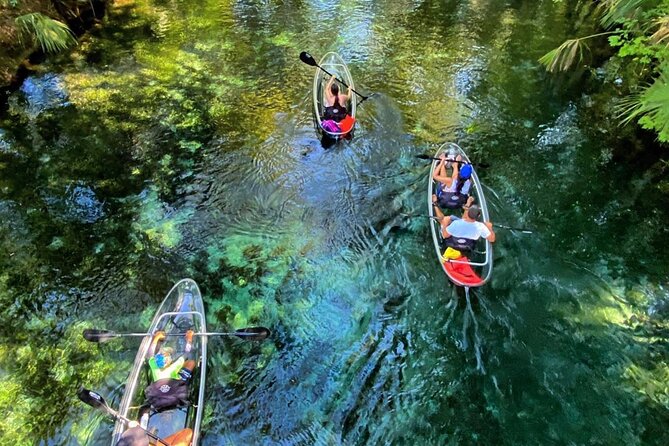 Glass Bottom Kayak Tours of Silver Springs - Key points before you book