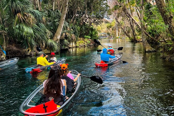 Glass Bottom Kayak Tours of Silver Springs - Why Silver Springs works so well from a clear kayak