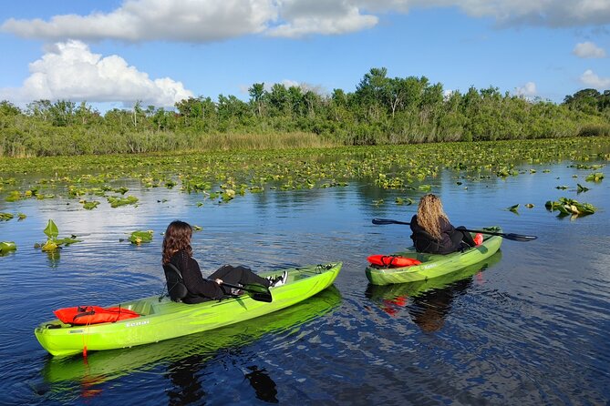 Guided Kayaking Manatee Tour near Orlando - Meeting at 2100 W French Avenue