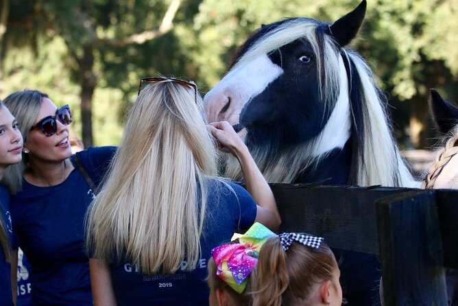 Gypsy Gold Horse Farm Tour - A final horse photo and a stop at the gift shop