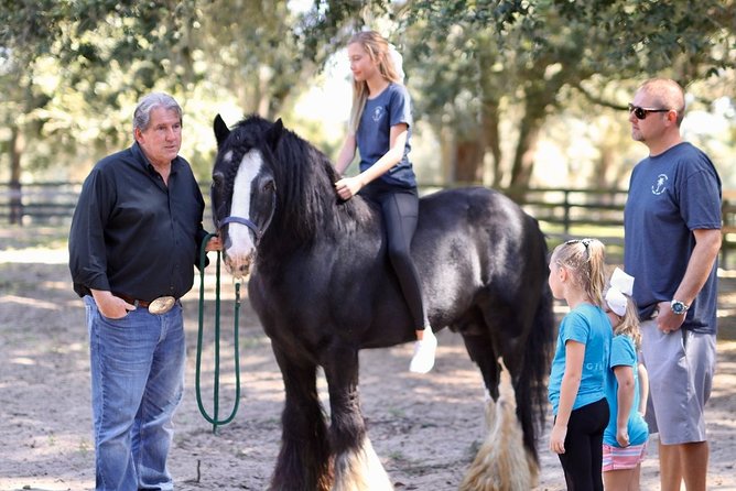 Gypsy Gold Horse Farm Tour - What the $55 price gets you