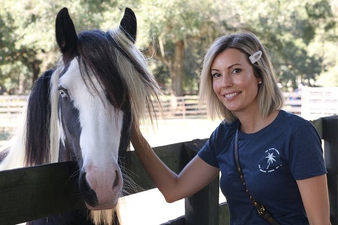 Gypsy Gold Horse Farm Tour - Who will enjoy Gypsy Gold most