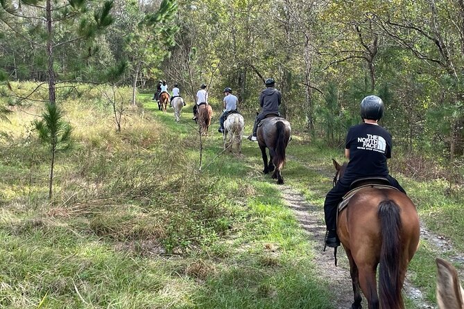 Horseback Ride on Scenic Lake Louisa Trails - A peaceful ride outside Orlando
