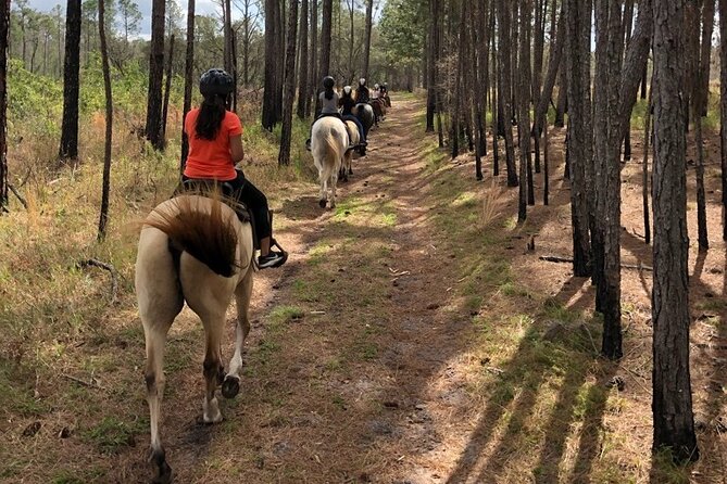 Horseback Ride on Scenic Lake Louisa Trails - Several miles through Lake Louisa State Park