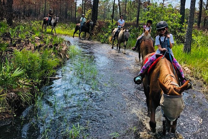 Horseback Ride on Scenic Lake Louisa Trails - Quiet viewpoints and good photo opportunities