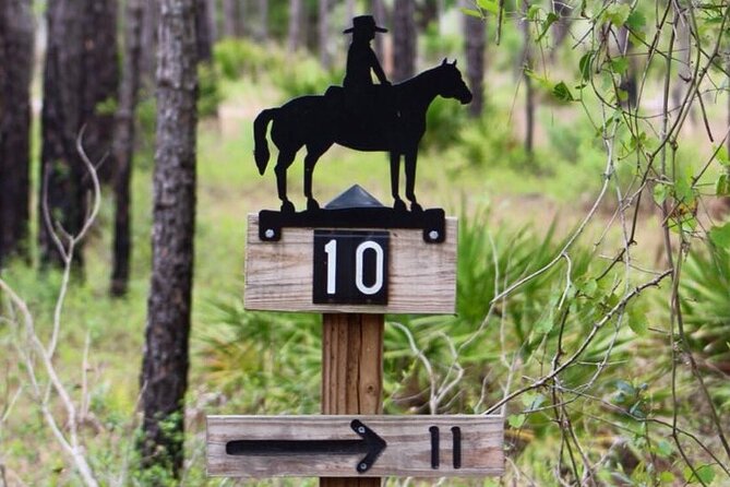 Horseback Ride on Scenic Lake Louisa Trails - Why beginners tend to enjoy this ride