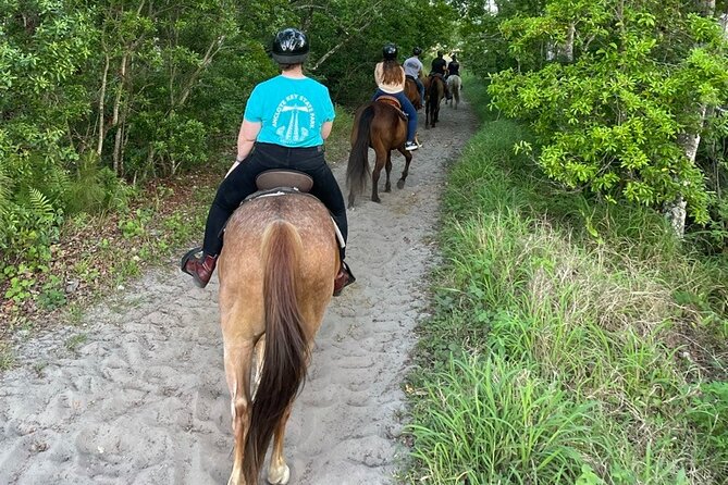 Horseback Ride on Scenic Lake Louisa Trails - The rules you must check before paying