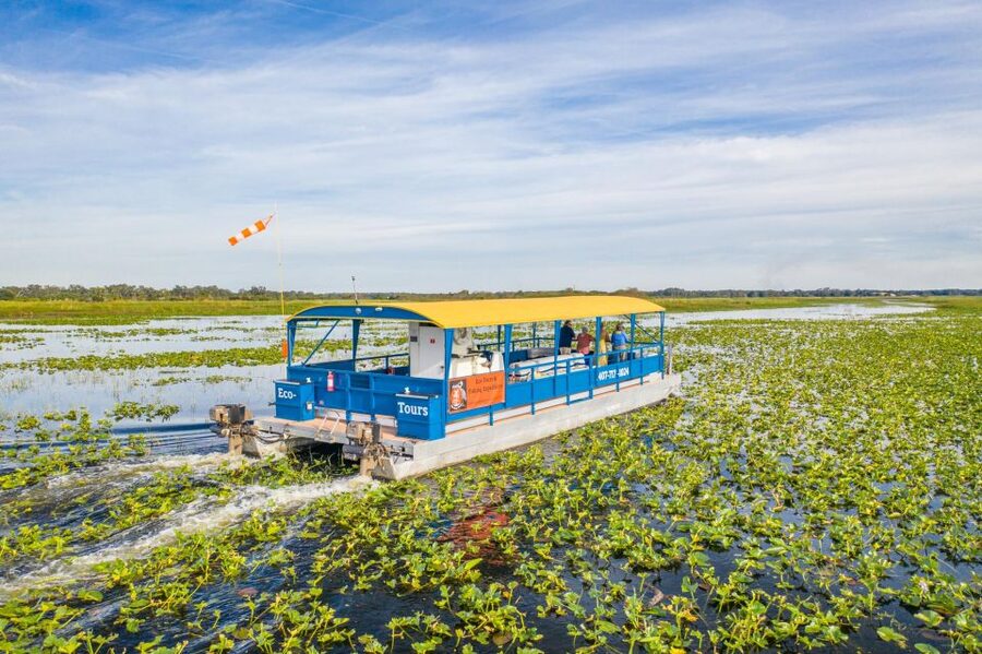 Kissimmee: 1 Hour Florida Everglades Pontoon Boat Tour - Starting at 69 Lakeview Drive