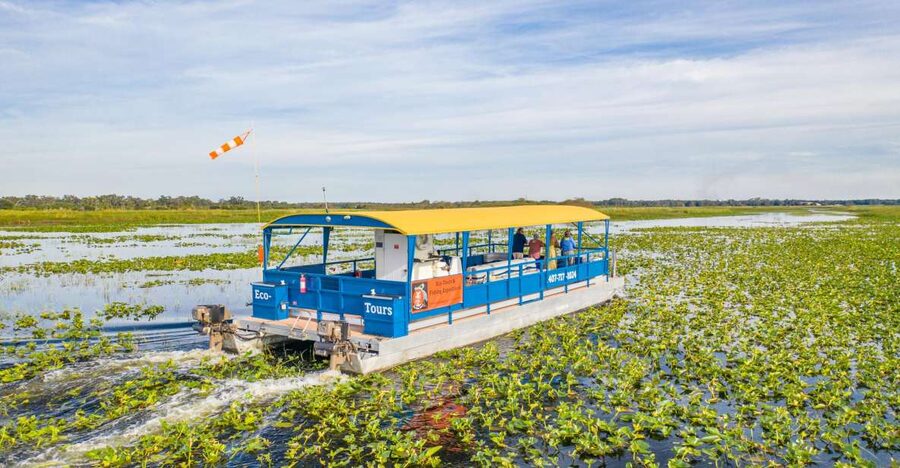Kissimmee: 1 Hour Florida Everglades Pontoon Boat Tour - A calm cruise with room to enjoy the view