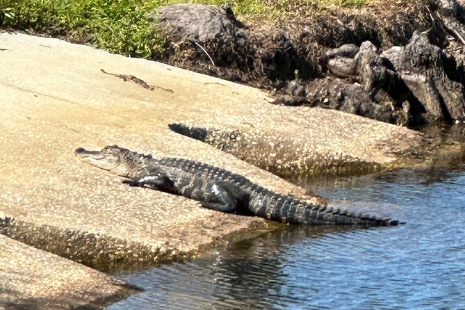 Kissimmee and St. Cloud Beach Tour on All Electric Trike (4 hrs.) - Key points to know before you ride