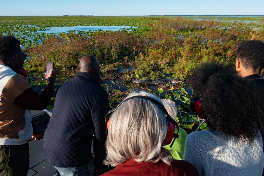 Kissimmee: Boggy Creek Airboat Ride with Optional Meal - Alligators, birds, turtles, and the uncertainty of nature