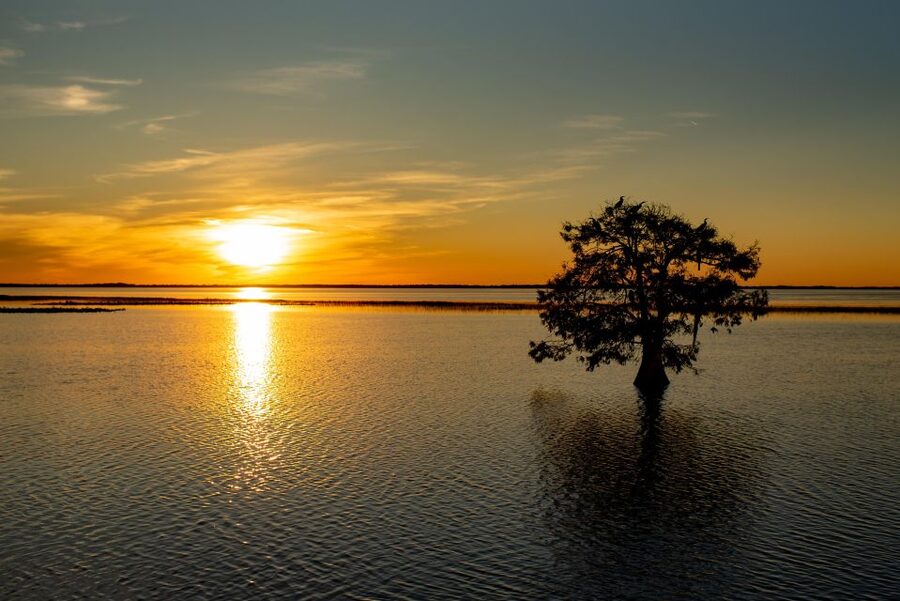 Kissimmee: Boggy Creek Sunset Airboat Tour - Key points to know before booking