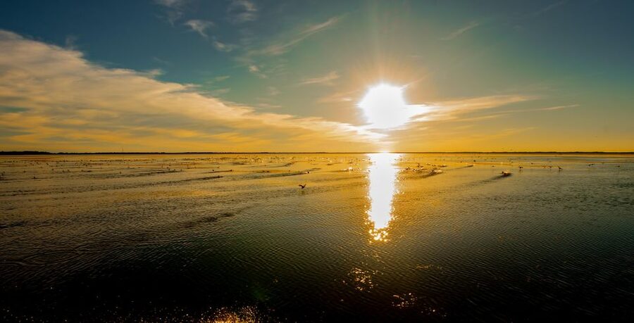 Kissimmee: Boggy Creek Sunset Airboat Tour - FAQ