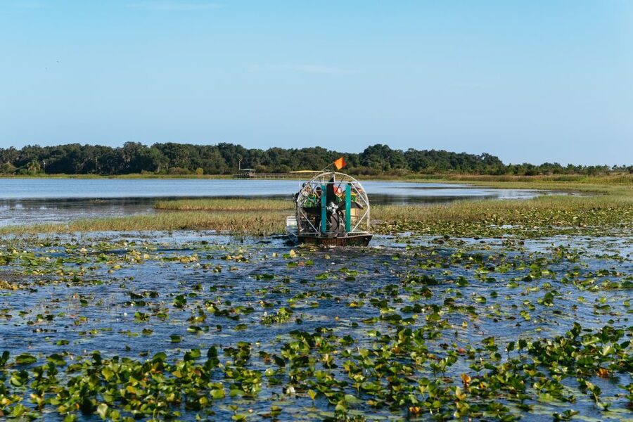 Kissimmee: Everglades Airboat Adventure Tour - The plants, birds, and subtropical setting