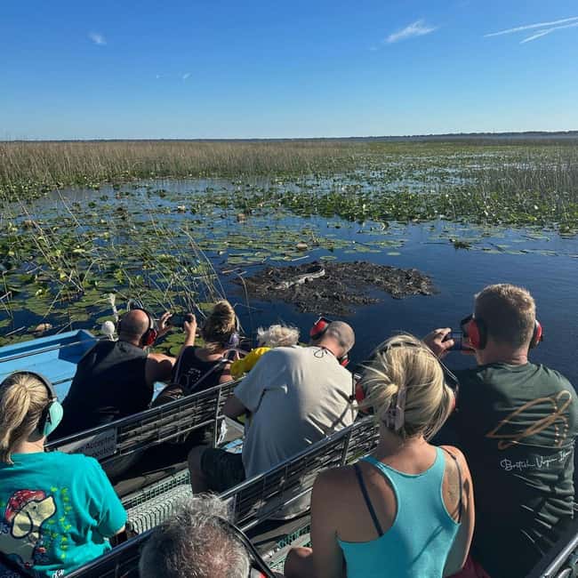 Kissimmee: Everglades Alligator and Wildlife Airboat Tour - Who will enjoy this Kissimmee airboat tour?