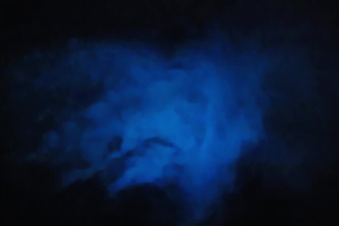 Magic After Dark Bioluminescence Kayak Tour Orlando - Starting at Port Canaveral
