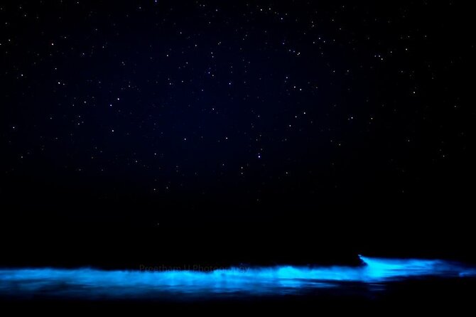 Magic After Dark Bioluminescence Kayak Tour Orlando - When the lagoon turns into stardust