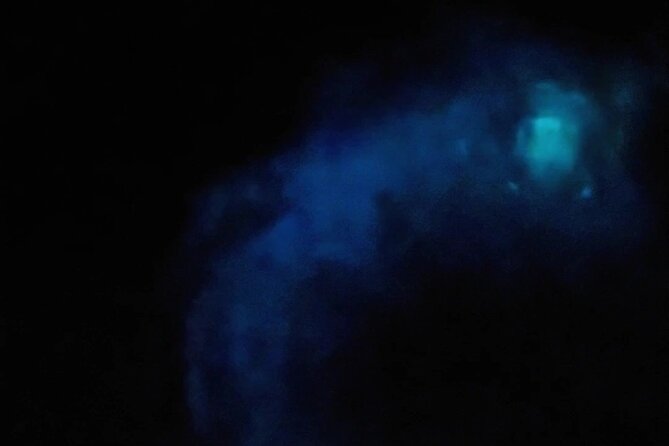 Magic After Dark Bioluminescence Kayak Tour Orlando - What the $85 price includes
