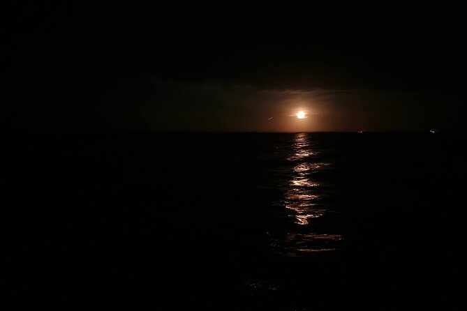 Magic After Dark Bioluminescence Kayak Tour Orlando - Who will enjoy this night kayak tour