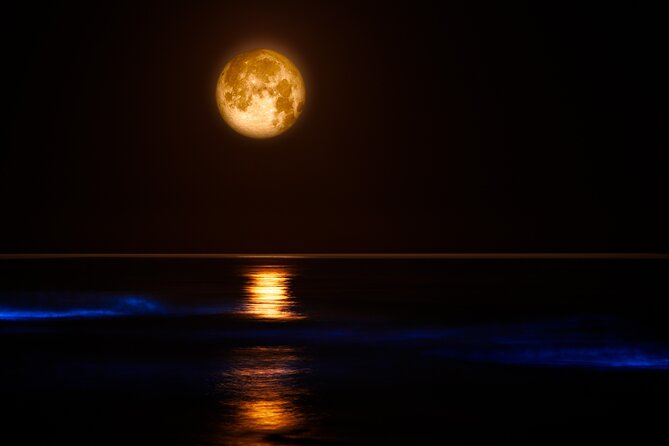 Magic After Dark Bioluminescence Kayak Tour Orlando - The first paddle strokes and the wildlife search