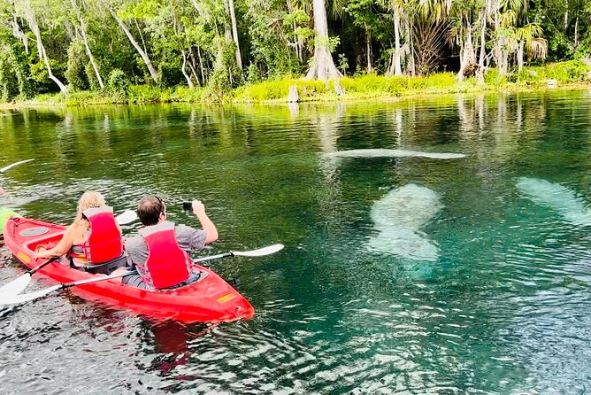 Manatees, Monkeys and Florida Natural Spring Adventure Tour - Starting at Fort King Pavilion