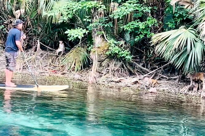 Manatees, Monkeys and Florida Natural Spring Adventure Tour - Reaching the spring head and glass-bottom boat launch