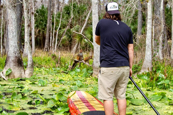Manatees, Monkeys and Florida Natural Spring Adventure Tour - Weather, cancellations, and the one serious warning