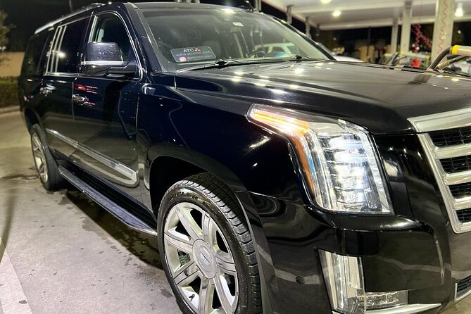Orlando Airport MCO and Hotels Private Transfer to Port Canaveral - How well does the service handle delays?