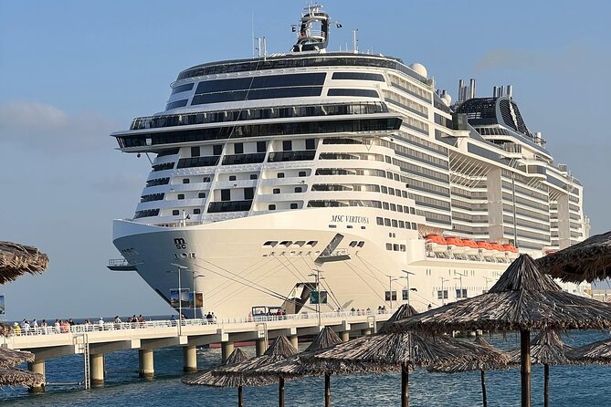 Orlando Airport MCO and Resort Transfer to Port Canaveral - The driver and level of service