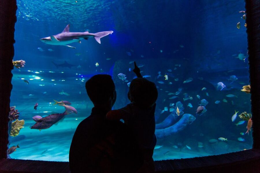 Orlando: All-Inclusive Pass with Kennedy Space Center - LEGOLAND Florida works best for families