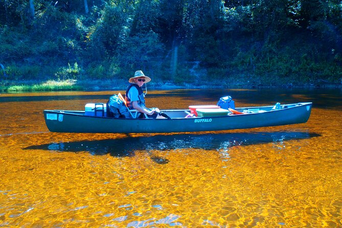 Orlando Alligator Experience - Why this is one of Orlando’s better nature outings