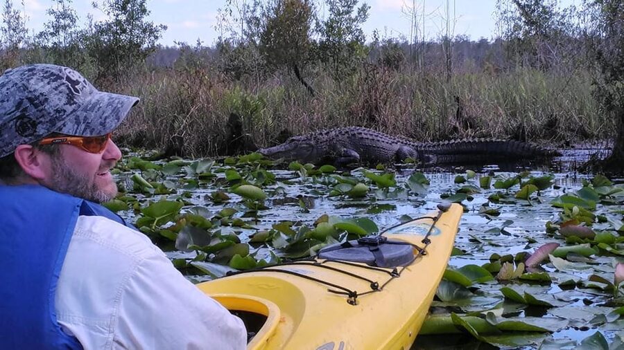 Orlando Alligator Experience: Day-Trip From Orlando - Key points to know before you go