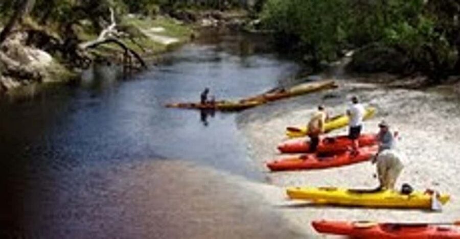 Orlando Alligator Experience: Day-Trip From Orlando - Eight miles of alligators, turtles, and birds
