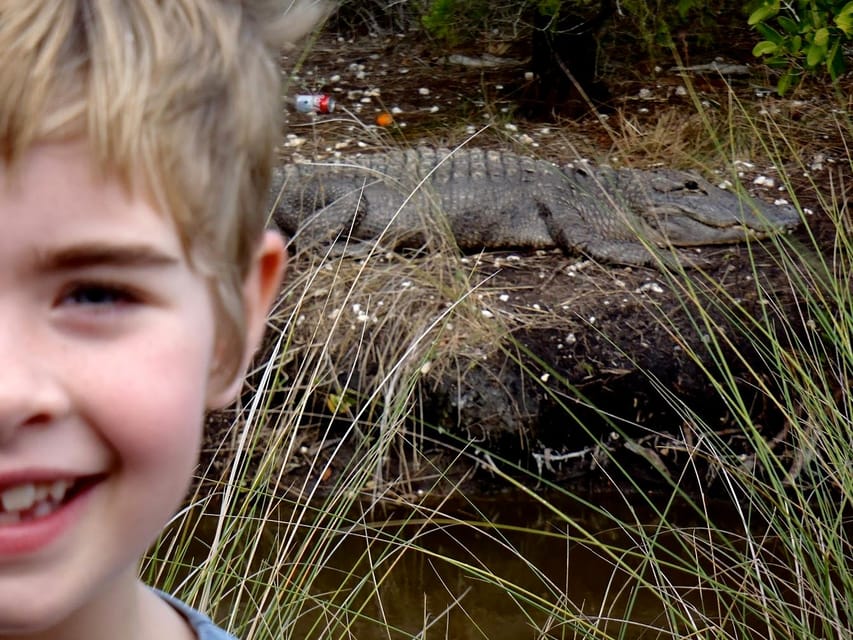 Orlando Alligator Experience: Day-Trip From Orlando - A snack beneath an old railroad bridge