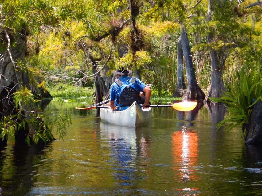 Orlando Alligator Experience: Day-Trip From Orlando - Starting with kayak instruction and wildlife rules