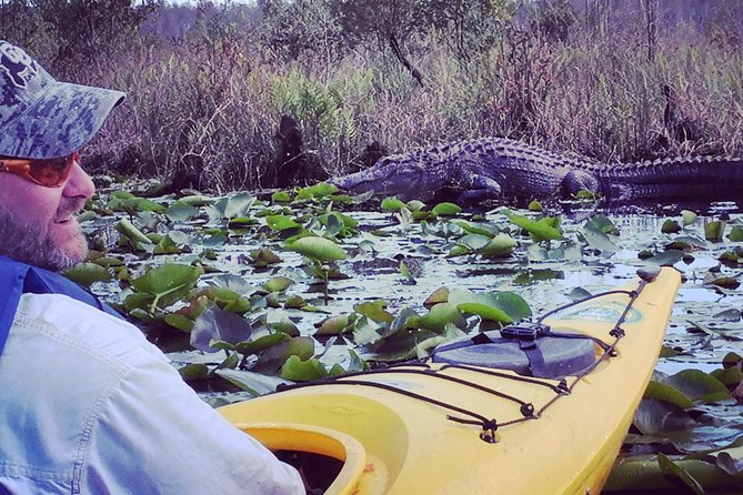 Orlando Alligator Experience - Meeting at Little Big Econ Canoe Launch