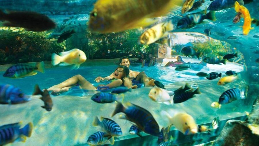Orlando: Aquatica Water Park Admission Ticket - Reef Plunge and Aquatica’s biggest thrills