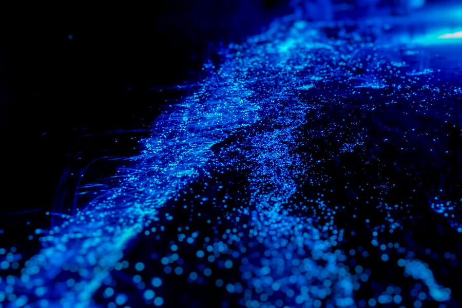 Orlando: Bioluminescence Kayak Tour - Key points before you book