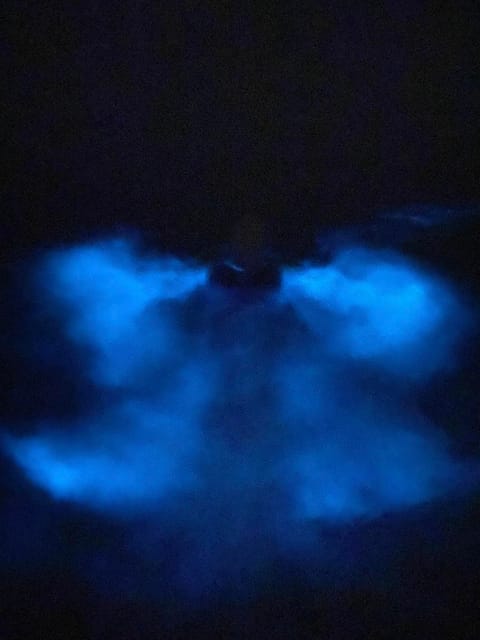 Orlando: Bioluminescence Kayak Tour - Getting set for the first paddle